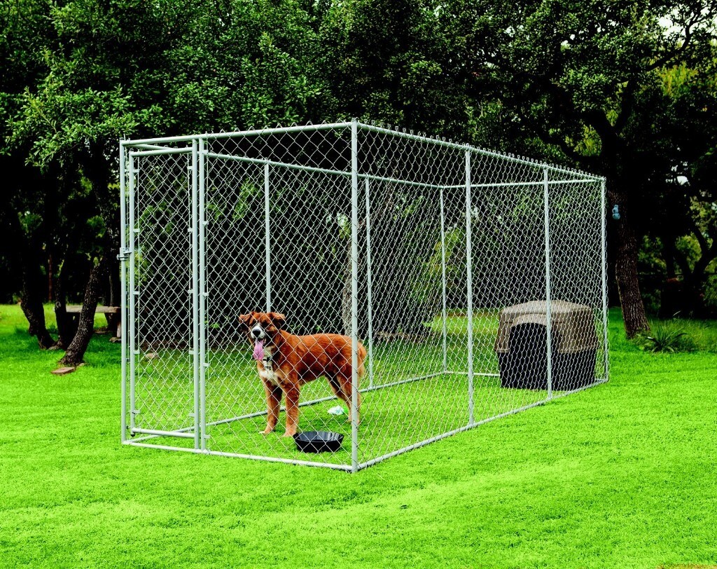 Dog run in inverness highland gumtree