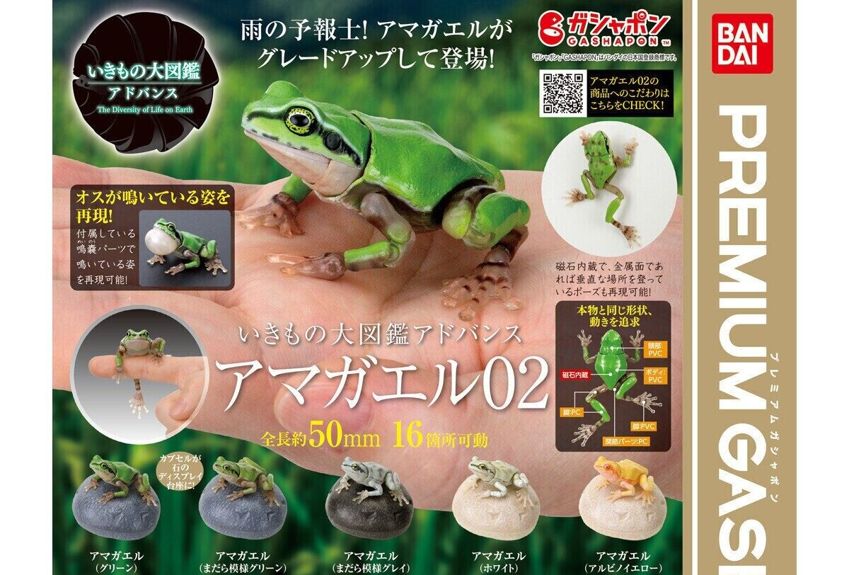 超能力蛙/Psychic Frog 4枚｜ゲーム・おもちゃ・グッズ