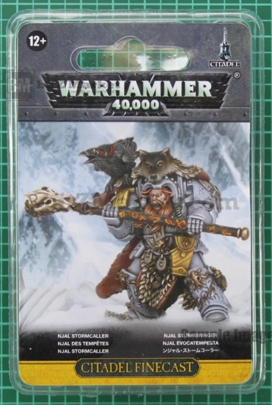 Warhammer 40,000: Njal Stormcaller in Terminator Armor GW 53-61 NIB