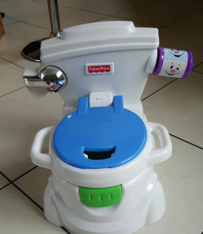 FisherPrice Fun to Learn Potty in Cookstown, County Tyrone Gumtree