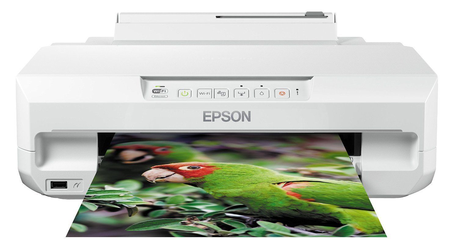 Epson Printers