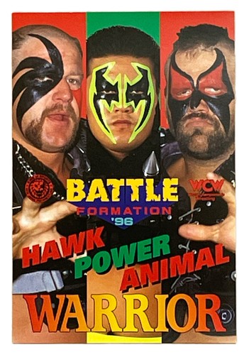 スポーツ THE ROAD WARRIORS $_12.JPG?set_id=880000500F