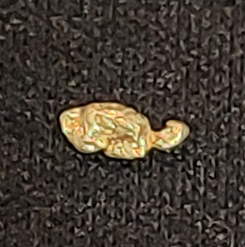 GOLD RUSH! (2) Authentic Alaskan Yukon Gold Nuggets / Genuine Natural Ore