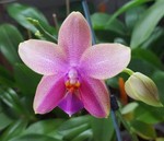 stefanie2012stefanie