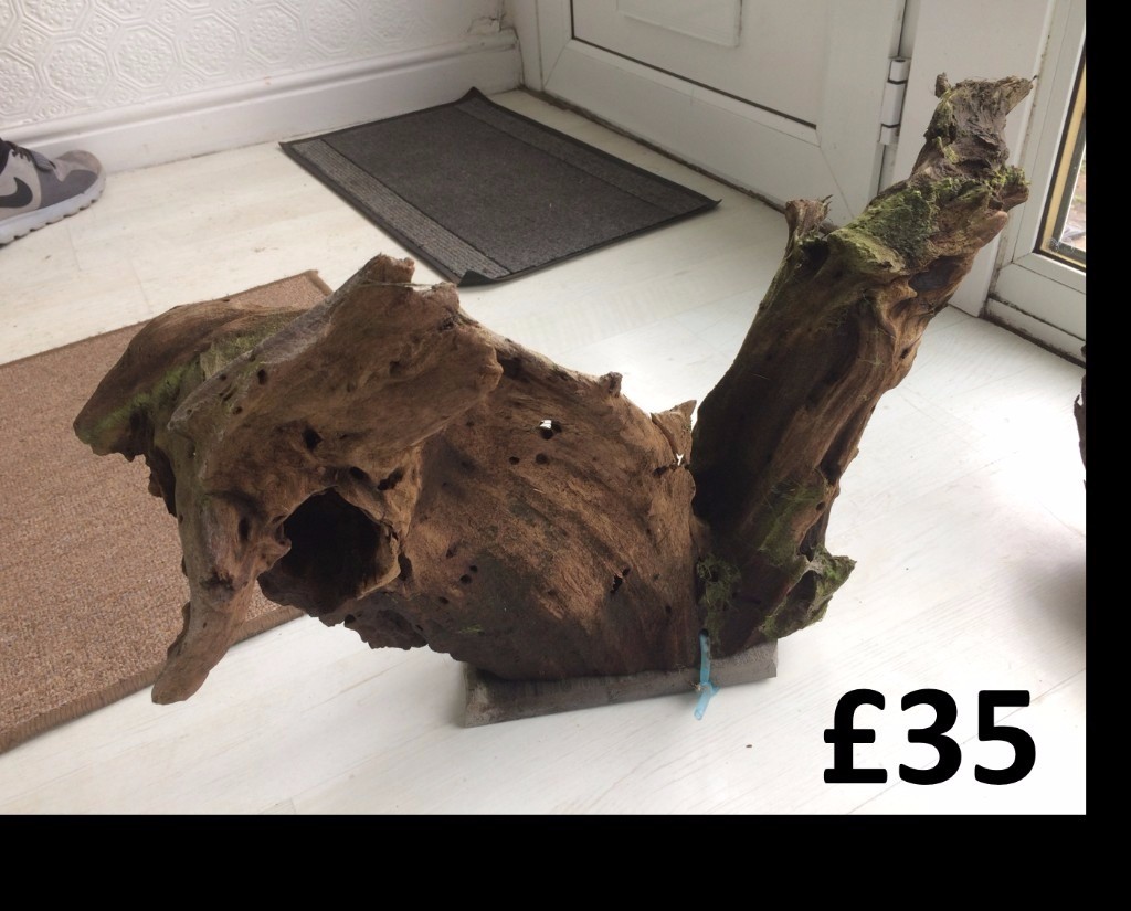 Bogwood XL XXL large pieces presoaked aquarium fish tank decor mopani