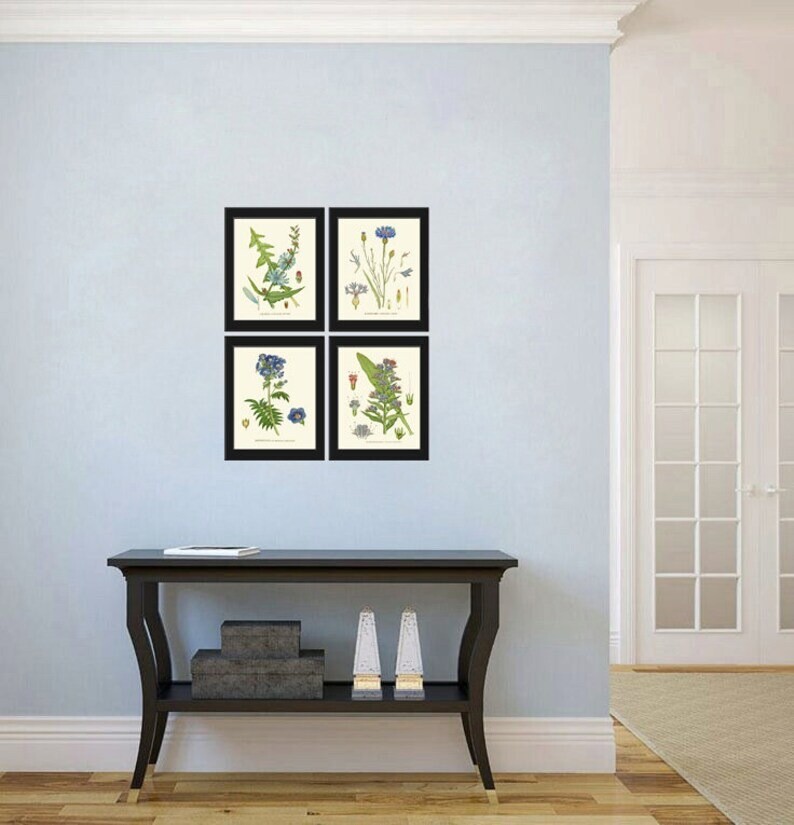 Blue Flowers Wildflowers Botanical Wall Art Set of 4 Prints Beautiful Unframed