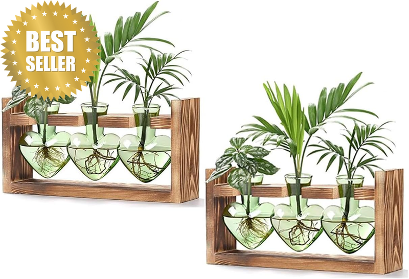 2 Pcs Heart Shaped Propagation Stations, Clear Glass Vase with Wooden Stand, Min