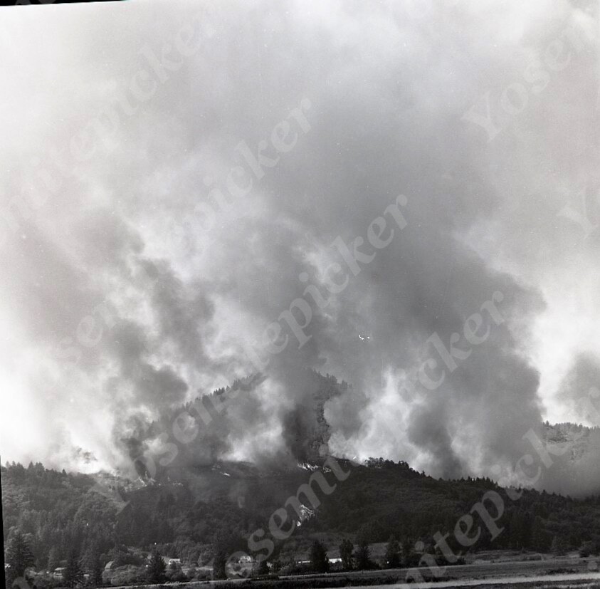 [hebo]ダイワ DR-1925 Saphir_MDO_1925_34TobaccoBrown