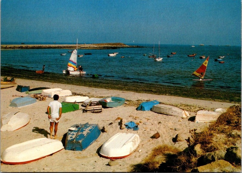 *43761 Cpm 29 Guisseny - L'Ecole De Voile