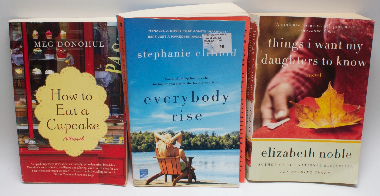 14 Women's Fiction Chick Lit Summer Reads Book Best Sellers RANDOM MIX Novel Lot