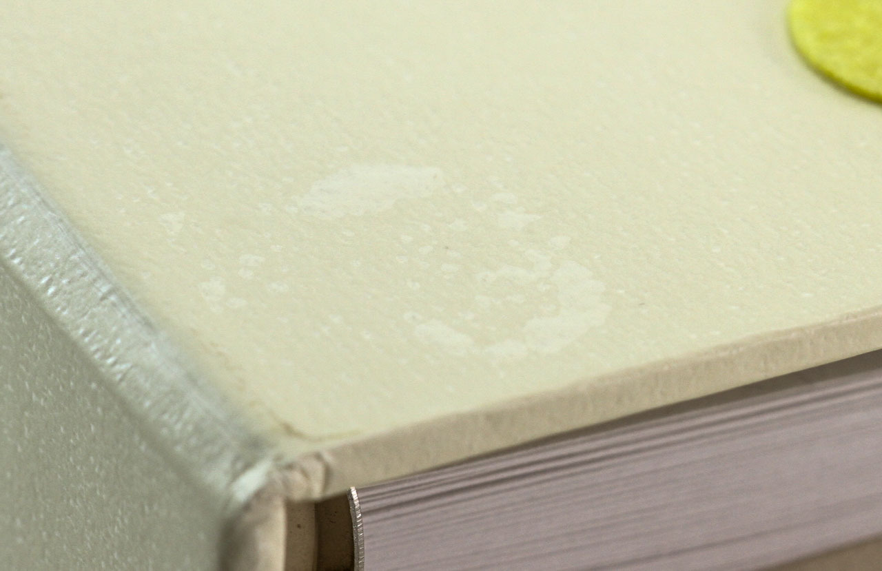 PAPYRUS PHOTO ALBUM Great for Baby