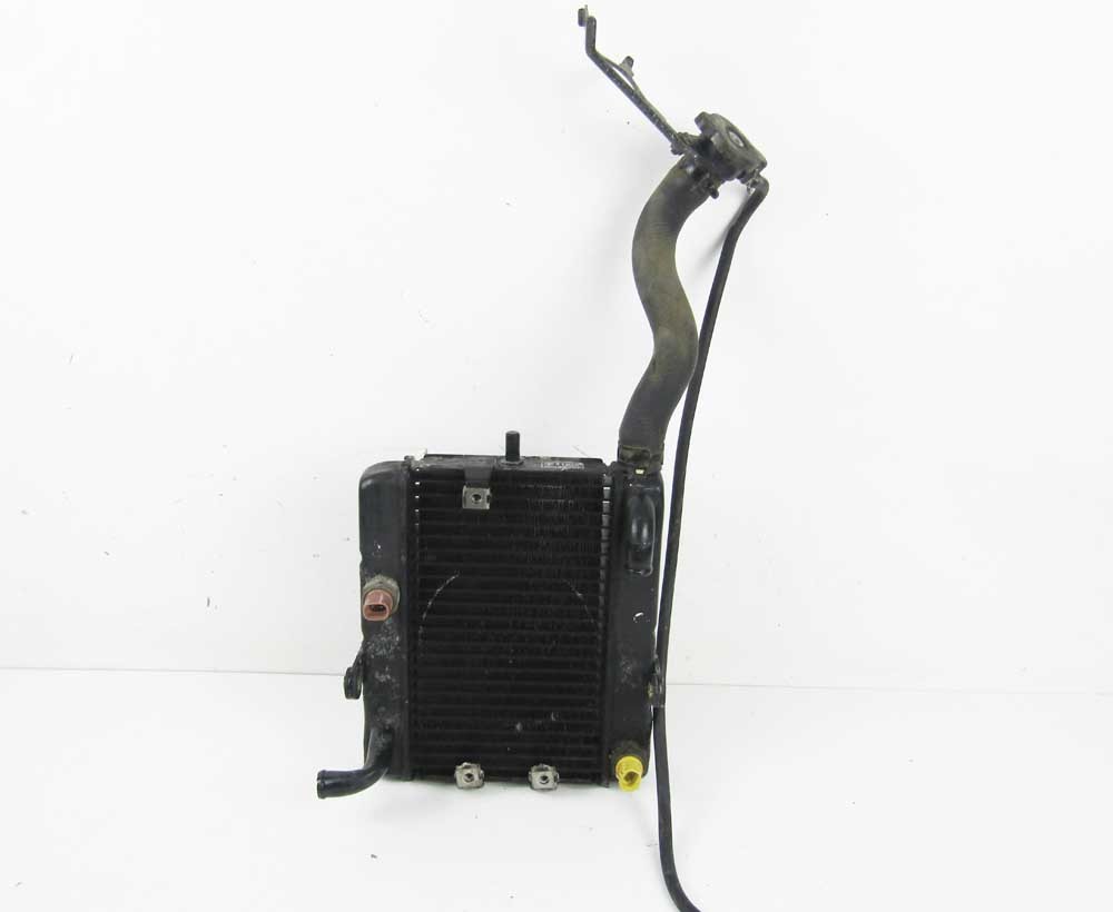 Radiatore Originale YAMAHA MAJESTY YP 250 2000 2001 2002 2003