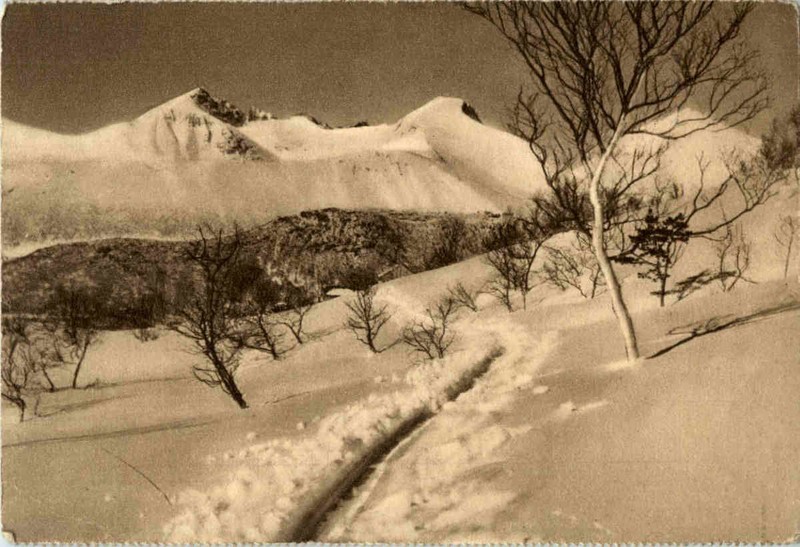 Norwegischer Medizinal Lebertran Werbung -43320