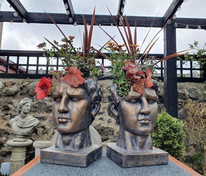 Head Planters for sale in UK 23 used Head Planters