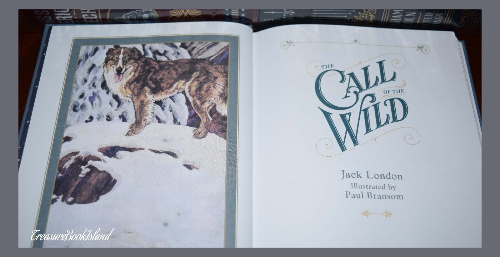 New Call of the Wild by Jack London Illustrated Leather Bound Sealed Collectible