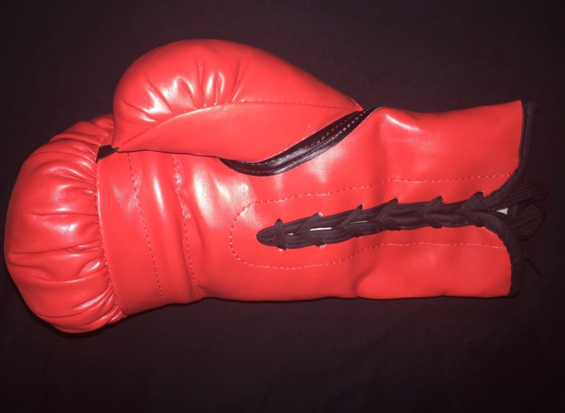 Saul Canelo Alvarez vs Miguel Cotto Signed Everlast Autographed Glove