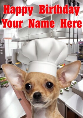Dog Any dogs breed j389 Chef Cook Fun Cute Personalised a5 Happy Birthday card