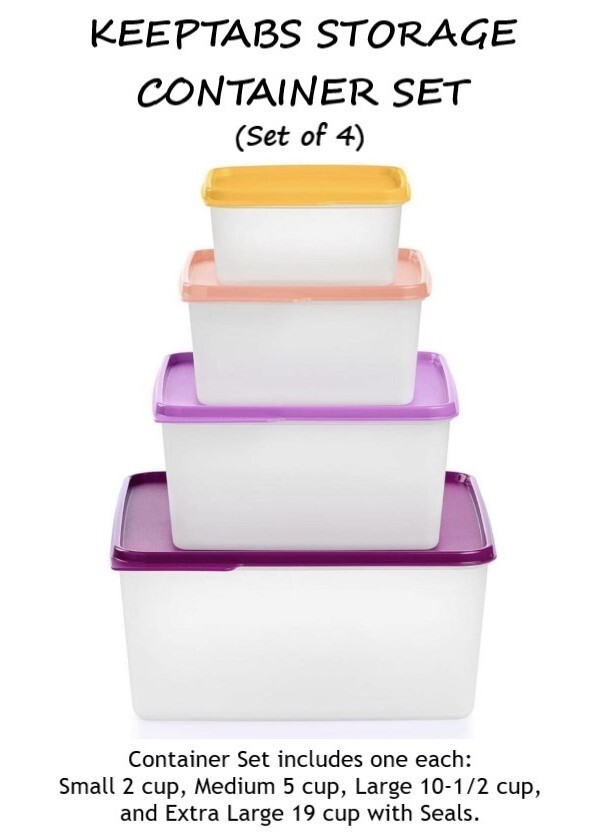 Tupperware KEEPTABS STORAGE CONTAINER SET of 4 ~ 2/5/10.5/19