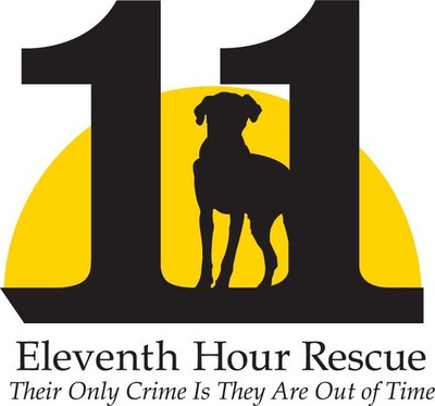 Eleventh Hour Rescue