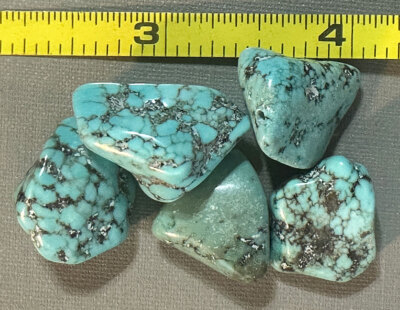 (5) Original Navajo Indian Turquoise Trade Beads Nuggets Fur Trade 1800s