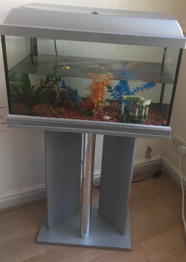 60 litre fish tank and stand in Bolton, Manchester Gumtree