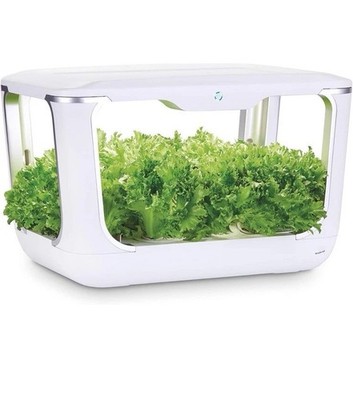 Serra Idroponica Green Farm