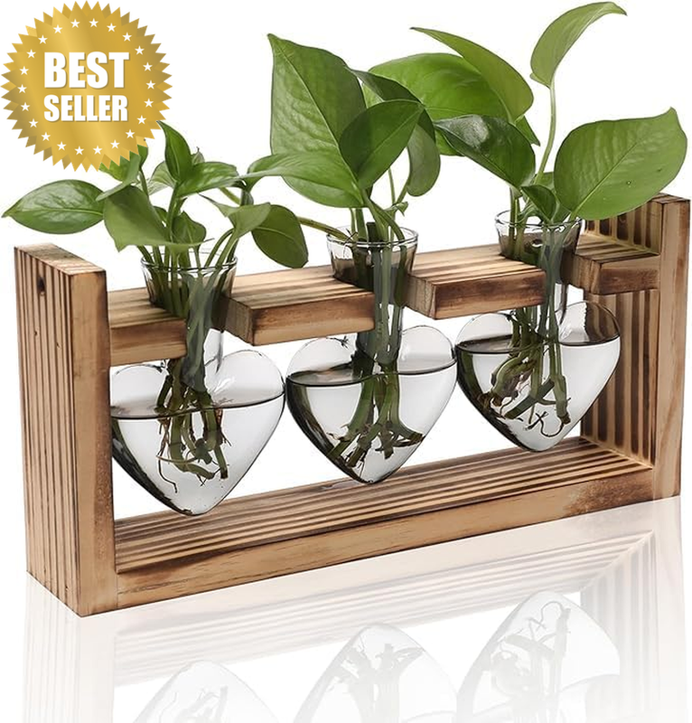 Heart-Shaped Glass Propagation Station with Wooden Stand, 27.7 Cm X 13 Cm,3Vases