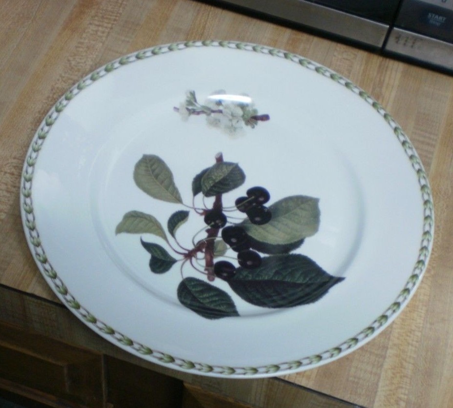 Rosina Queens HOOKER'S FRUIT (BONE CHINA MADE ENGLAND ) CHERRIES  Dinner Plate