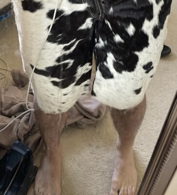 Artikelfoto(s) von einem verifizierten Käufer