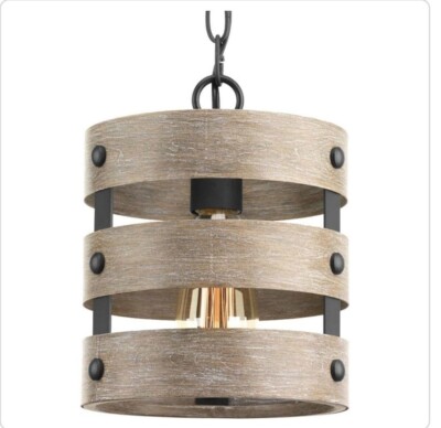 Progress Lighting Gulliver 8-1/2 in. 1-Light Graphite Coastal Drum Mini-Pendant
