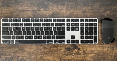 Photos de l'objet d'un acheteur vérifié