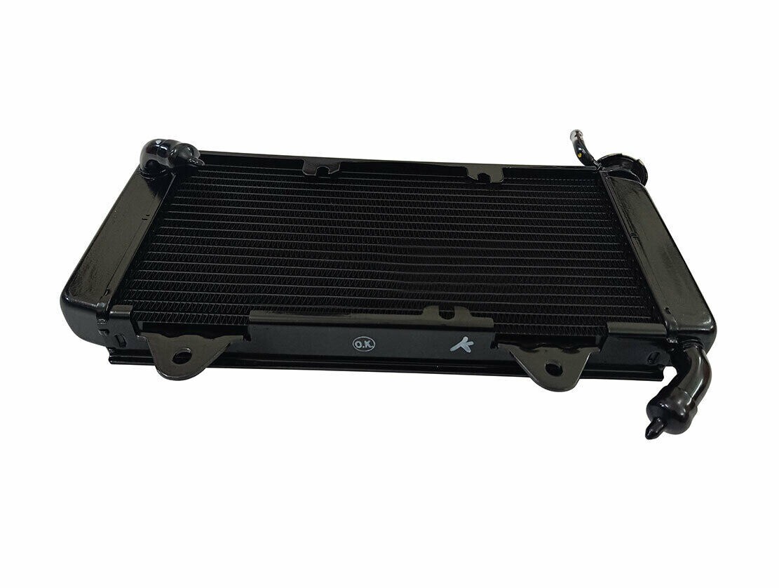 RADIATOR COMPLETE WITHOUT FAN COMPATIBLE Fits For KTM DUKE 200 2013 TO 2019 
