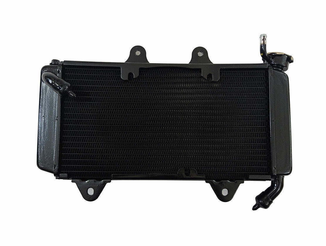 RADIATOR COMPLETE WITHOUT FAN COMPATIBLE Fits For KTM DUKE 200 2013 TO 2019 
