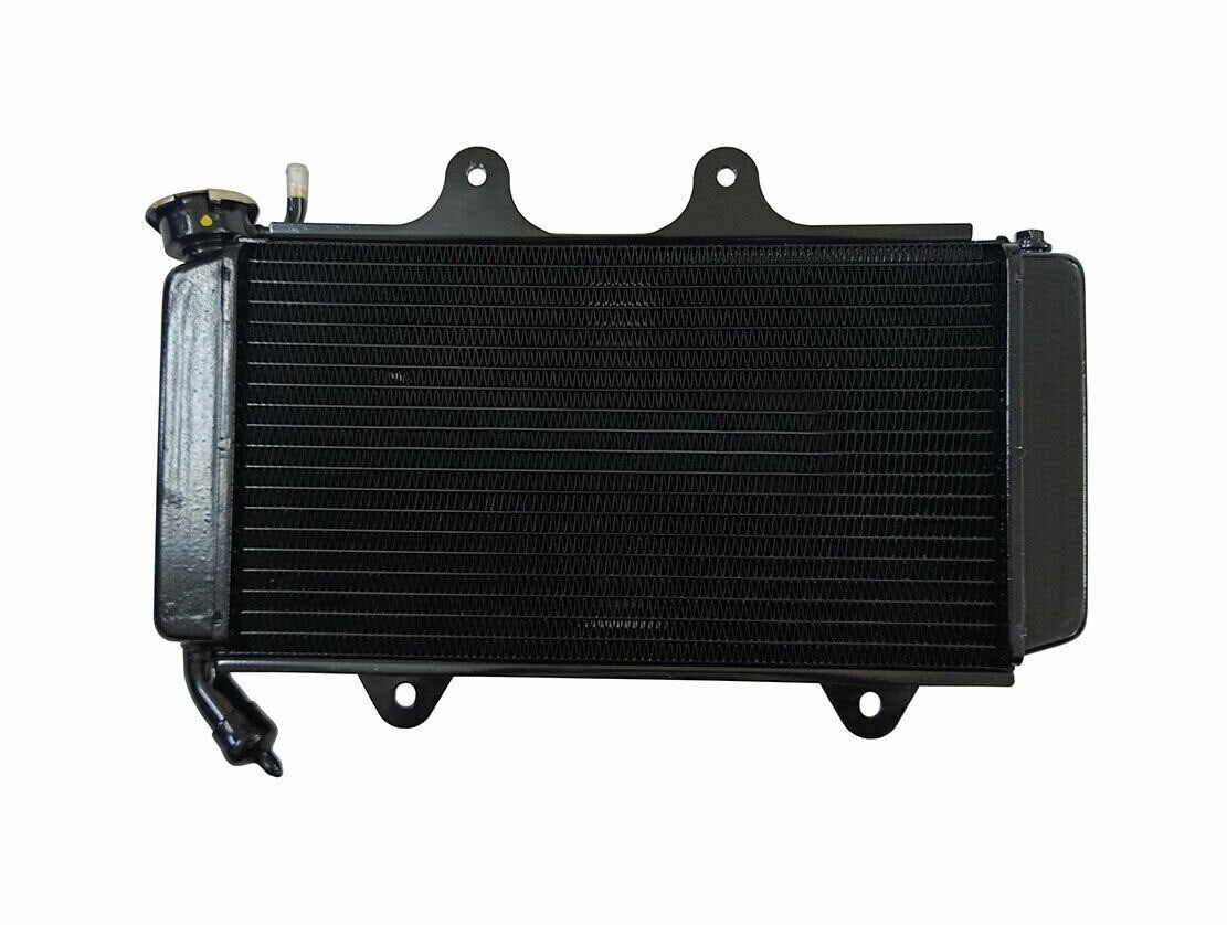 RADIATOR COMPLETE WITHOUT FAN COMPATIBLE Fits For KTM DUKE 200 2013 TO 2019 