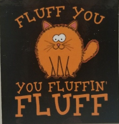 Fluff You - You Fluffin' Fluff Orange Silly Kitty Cat  Pet Love MAGNET