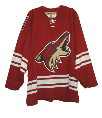 Arizona Coyotes - Mens Purple Retro Game Stitched Jersey - *Pick Your –  Empire Jerseys