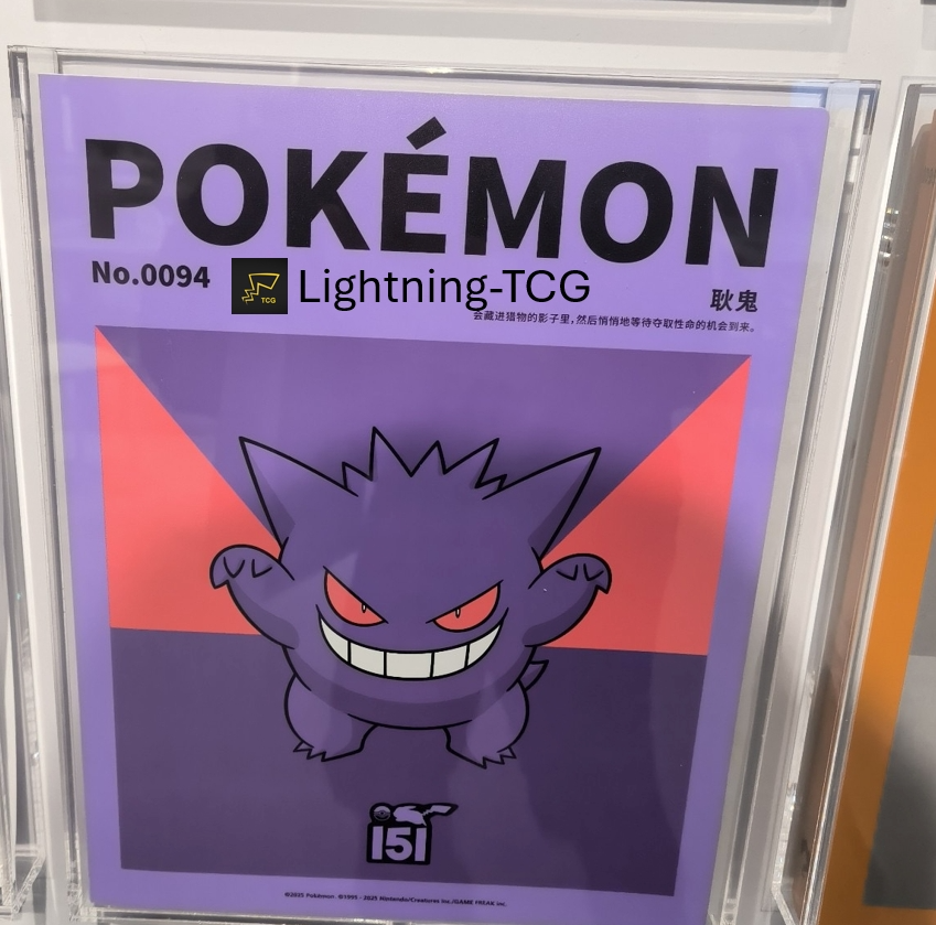 Pokemon File Binder 【Gengar 】【Charizard】 
