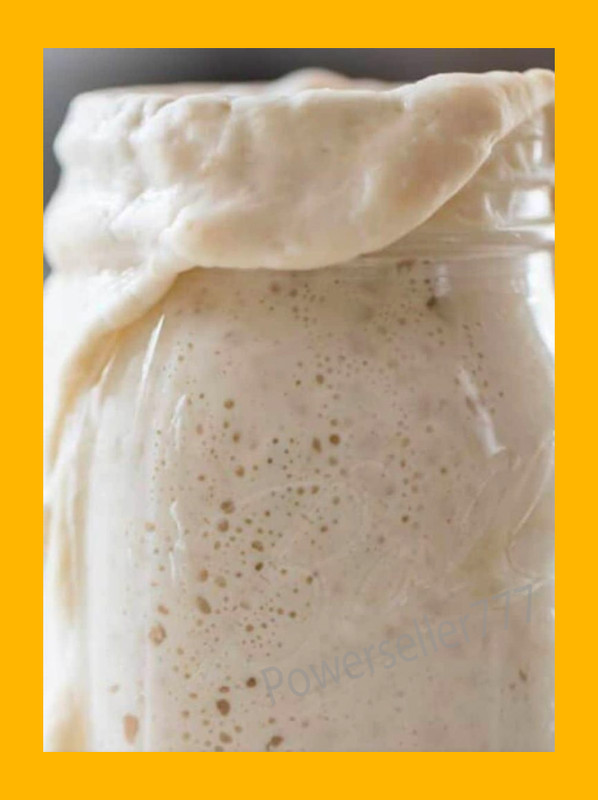 ORGANIC Sourdough Bread Starter San Francisco - Live 200yrs Old