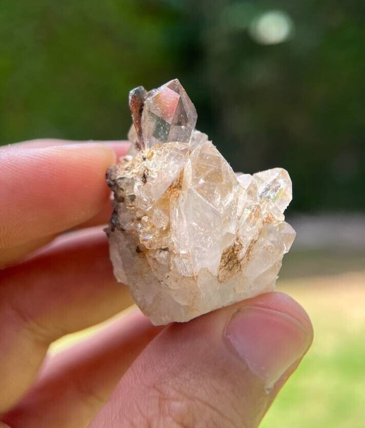 28 Gm Deep Red Brookite Crystal On Quartz Specimen From Baluchistan