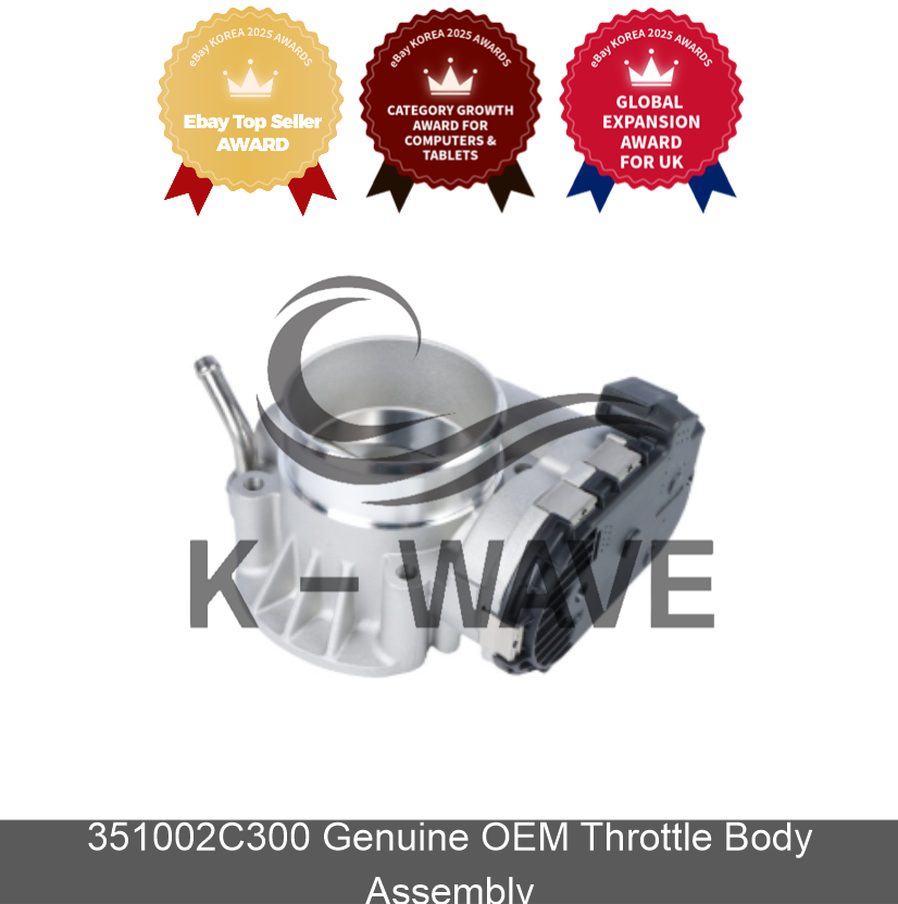 351002C300 Genuine OEM Throttle Body Assembly / Express / Genuine