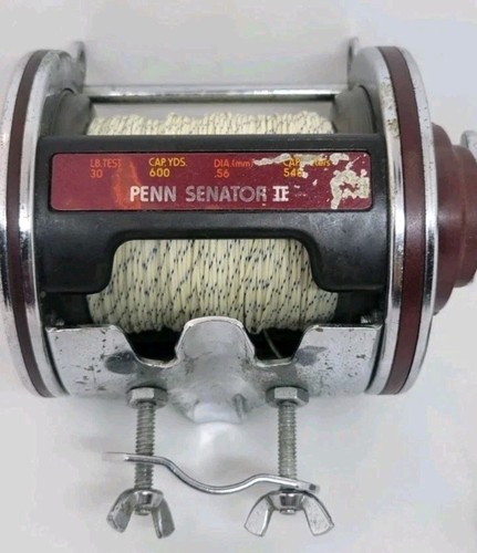 PENN リール 113H 4/0 Senator Penn PENN 4/0スペシャルセネター 113H2 底物 大物釣り ソルト