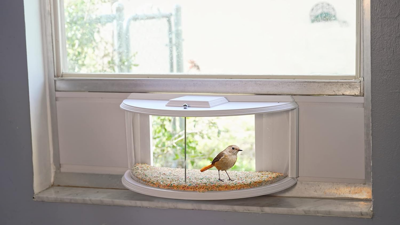Inside House - White 180&deg; Clear View Window Insert Bir