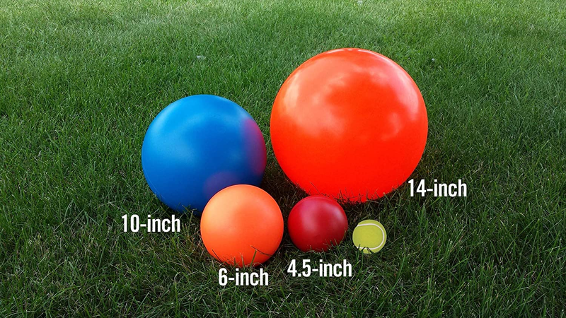 Virtually Indestructible 10-Inch Best Ball for Dogs