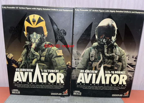 ホットトイズ•F-14トムキャット•アビエイター Hottoys 1/6 F-14 F/A-18 Aviator Us Aircrew Tomcat/hornet