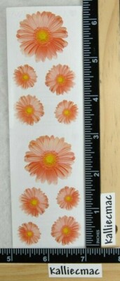 Mrs Grossman GERBER DAISIES Photoessence Stickers PINK DAISY FLOWERS