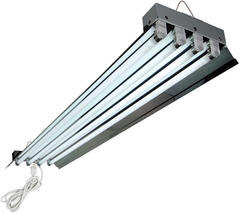 Fixture, Bulbs Included