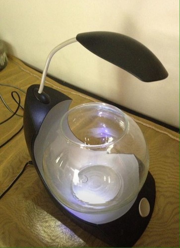 Small Glass BETA Fish Bowl Aquarium w LED Light