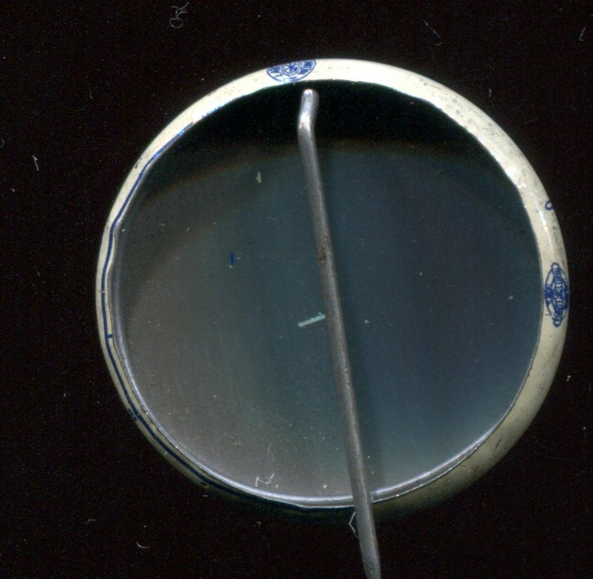 Dewey for President, 2 Elephants