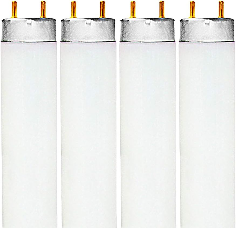 F32T8/865 32W 48 Inch T8 Fluorescent Tube Light Bulb, 6500K Daylight, 2800 Lumen