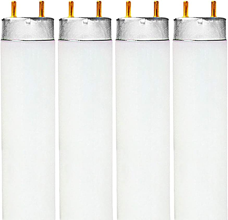 F32T8/865 32W 48 Inch T8 Fluorescent Tube Light Bulb, 6500K Daylight, 2800 Lumen